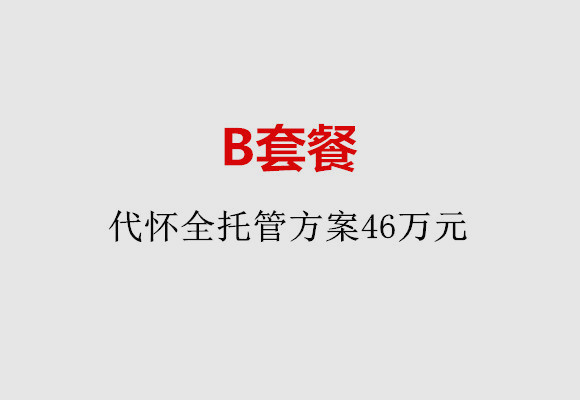 深圳B套餐：代怀全托管方案46万元